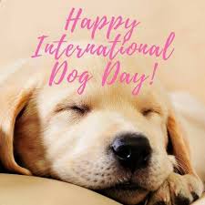 international dog day 2019